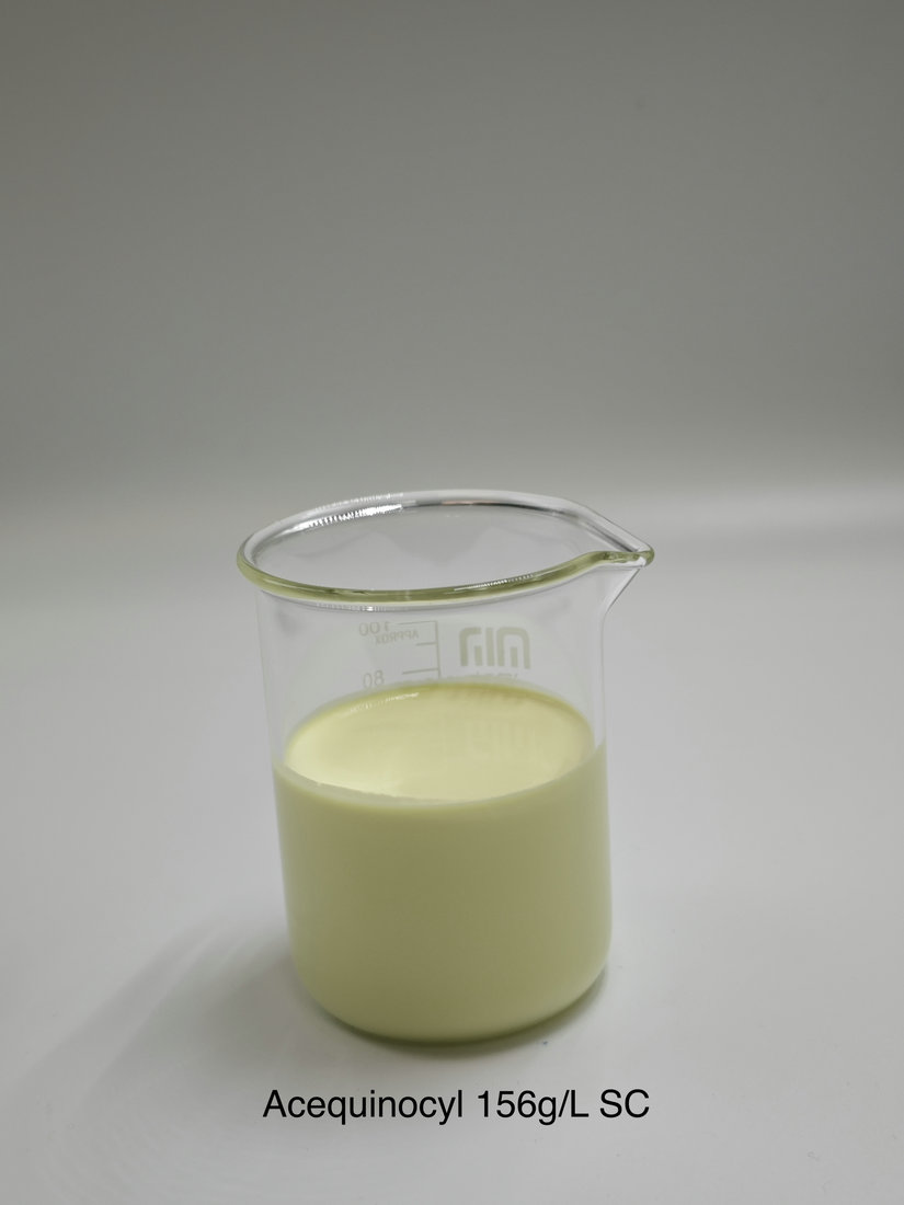 Acequinocyl 156g/L SC